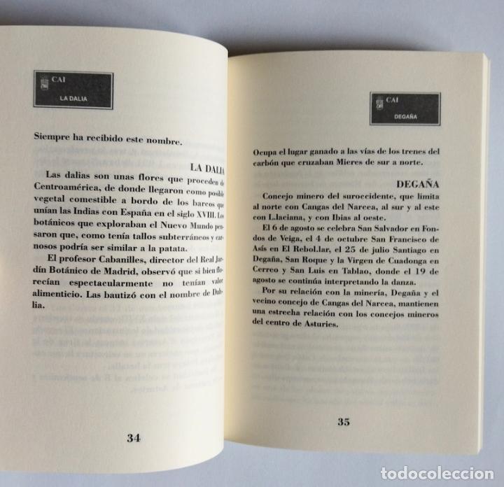 Libros de segunda mano: EL LIBRO DE LAS CALLES DE MIERES - VARIOS AUTORES - EDICIONES FORMIGA. 2008 - Foto 4