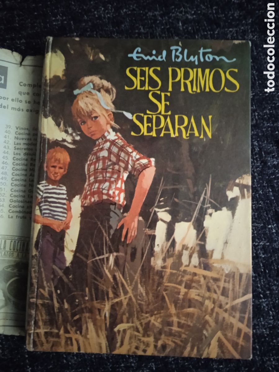 Libros de segunda mano: SEIS PRIMOS SE SEPARAN / ENID BLYTON -ED. MOLINO - Foto 1