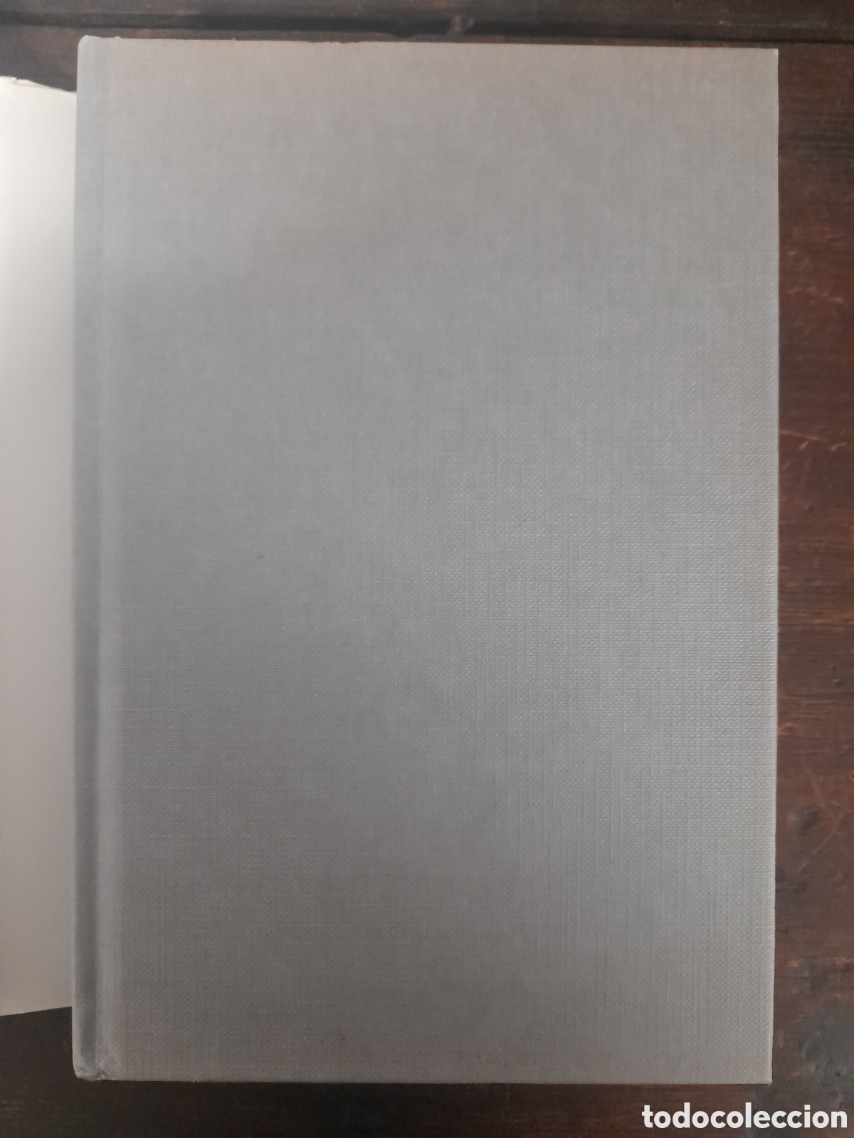 Libros de segunda mano: Mi Vida, Isadora Duncan - DEBATE 1988 - Foto 2
