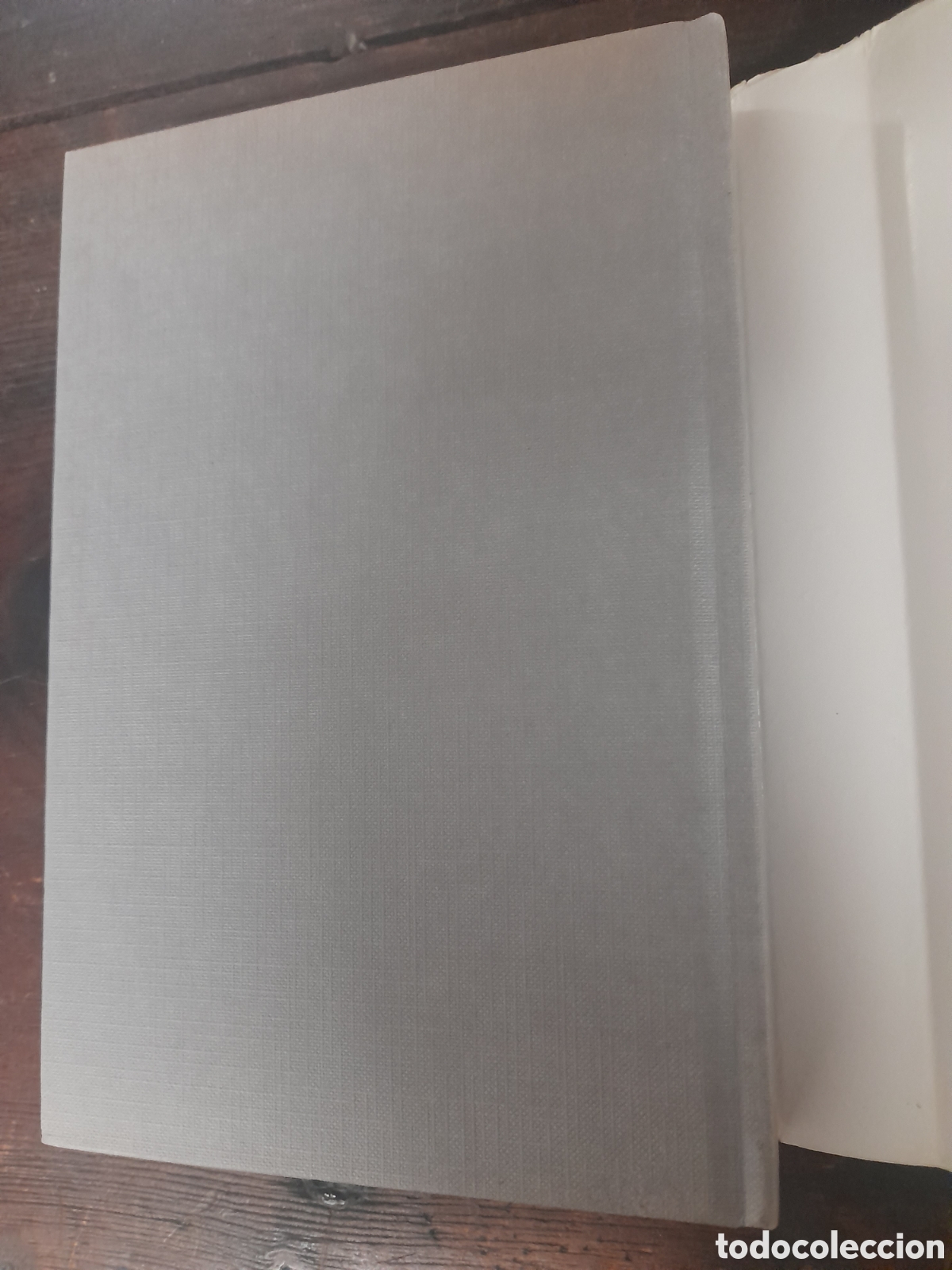 Libros de segunda mano: Mi Vida, Isadora Duncan - DEBATE 1988 - Foto 5