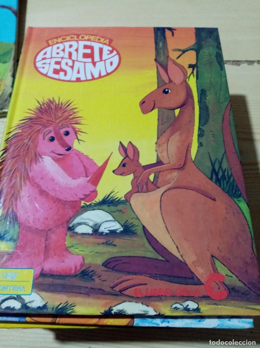 Libros de segunda mano: ENCICLOPEDIA ABRETE SESAMO. EL LIBRO DE LA C. EST18B5 - Foto 1