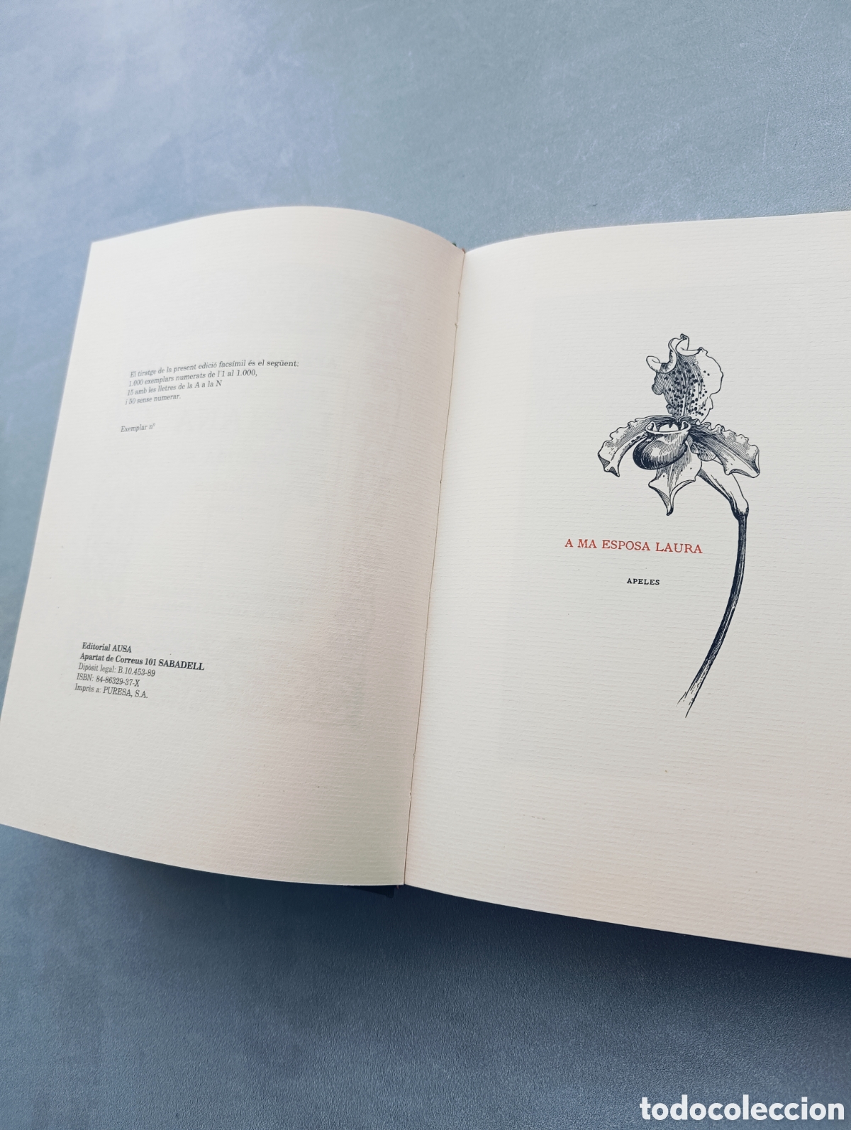 Libros de segunda mano: Liliana. Apeles Mestres. Facs&iacute;mil. - Foto 4