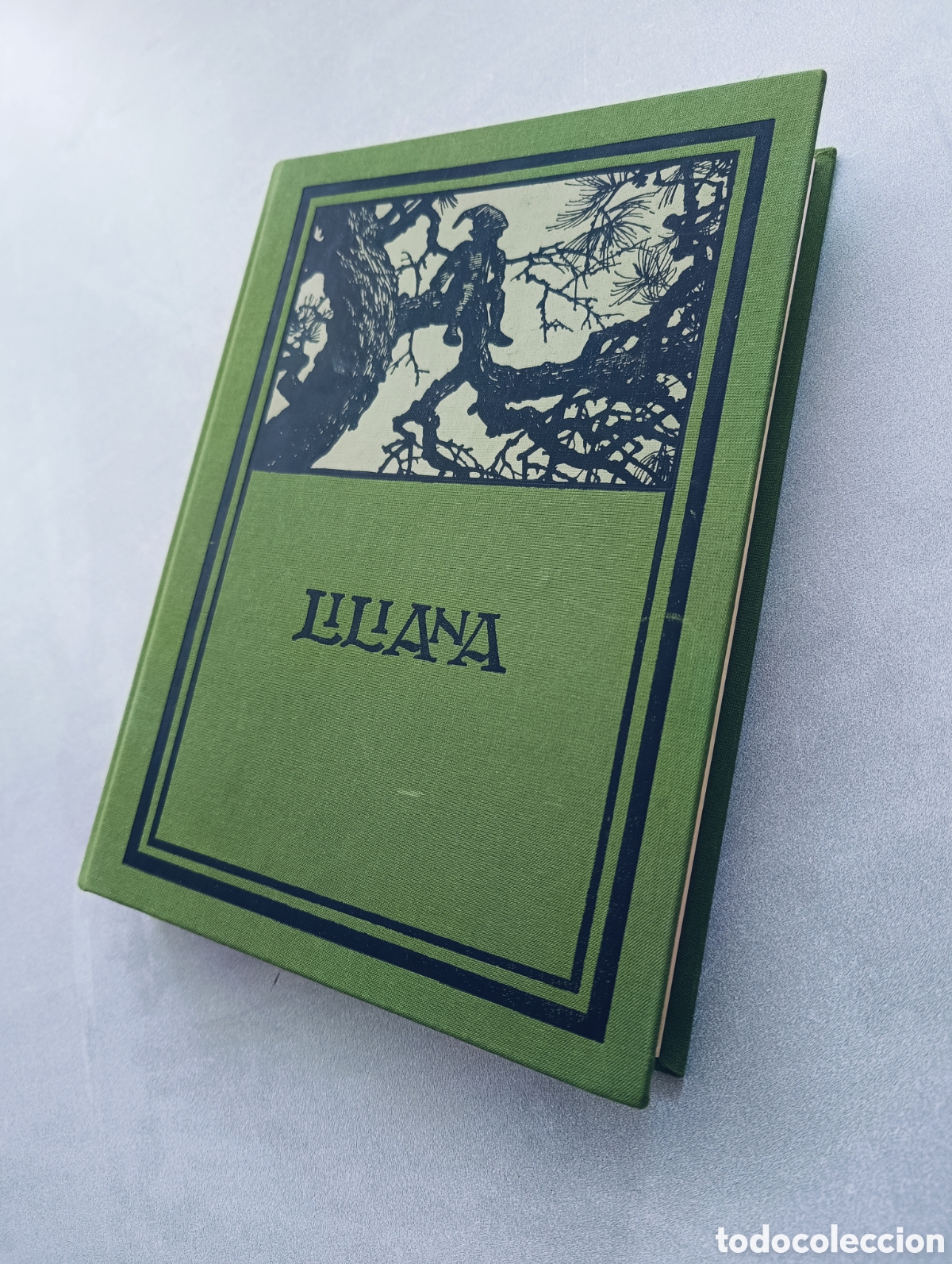 Libros de segunda mano: Liliana. Apeles Mestres. Facs&iacute;mil. - Foto 7
