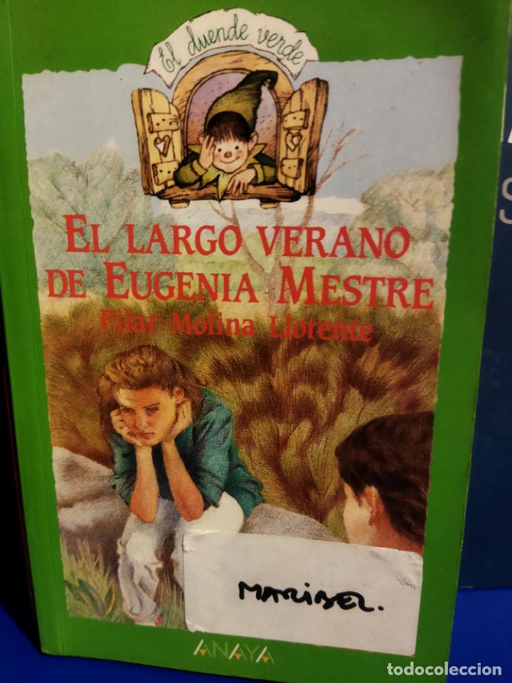 Libros de segunda mano: El largo verano de Eugenia Mestre - Foto 1