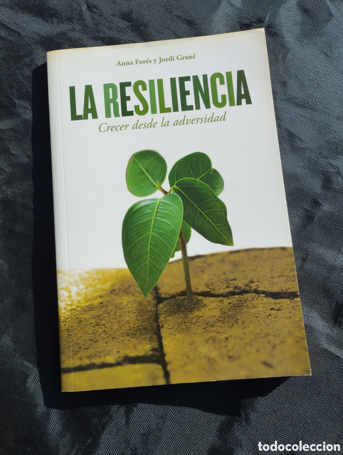 Libros de segunda mano: Sobre espiritualidad. 4 libros. - Foto 2
