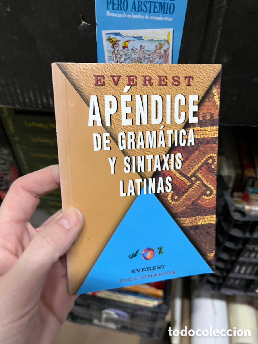 Libros de segunda mano: EVEREST APENDICE DE GRAM&Aacute;TICA Y SINTAXIS LATINAS - Foto 1