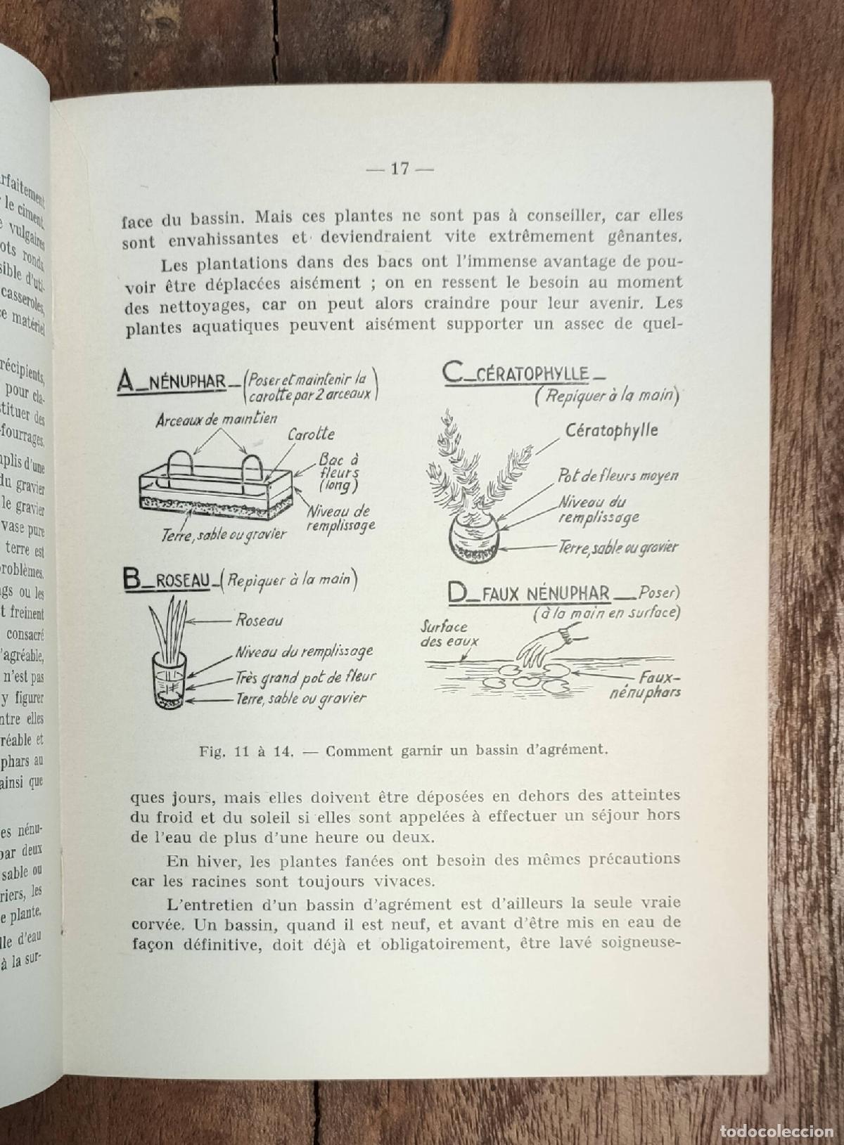 Libros de segunda mano: ELEVAGE MODERNE DE LA TRUITE. POLLET, Michel. Bornemann. 1960. - Foto 4