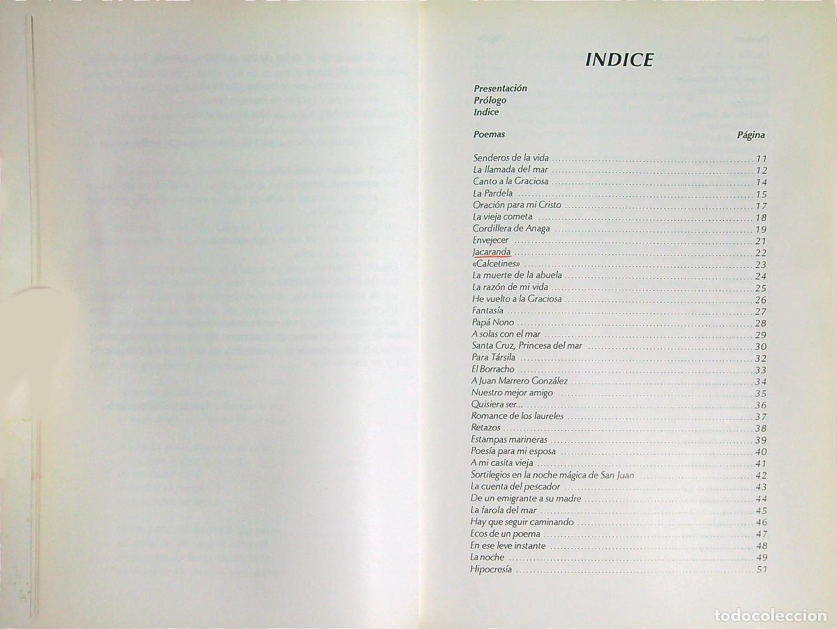 Libros de segunda mano: SENDEROS DE LA VIDA - JOS&Eacute; GONZ&Aacute;LEZ MORALES - 1999 - CANARIAS - Foto 2