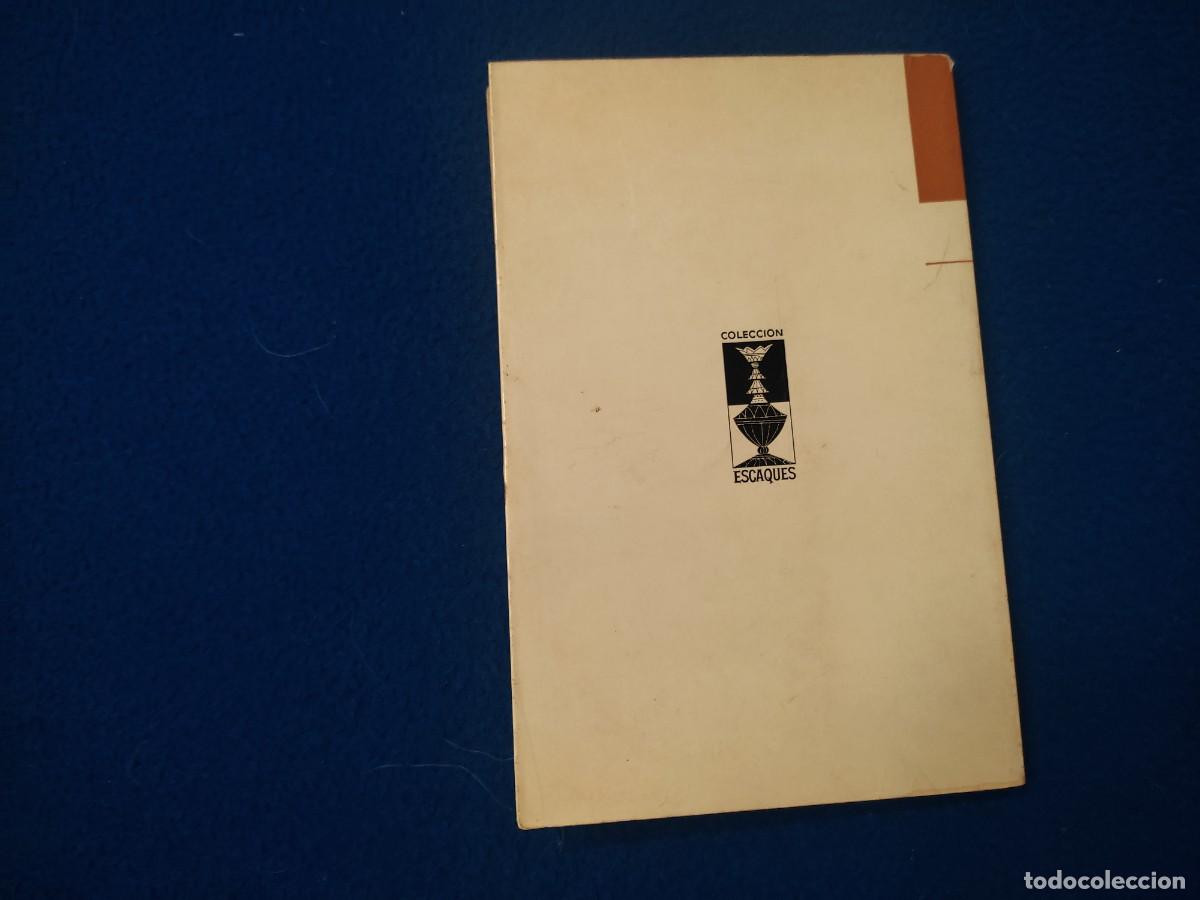 Libros de segunda mano: Ajedrez Elemental V. N. Panov Ediciones Martinez Roca 1973 Colecci&oacute;n Escaques - Foto 3