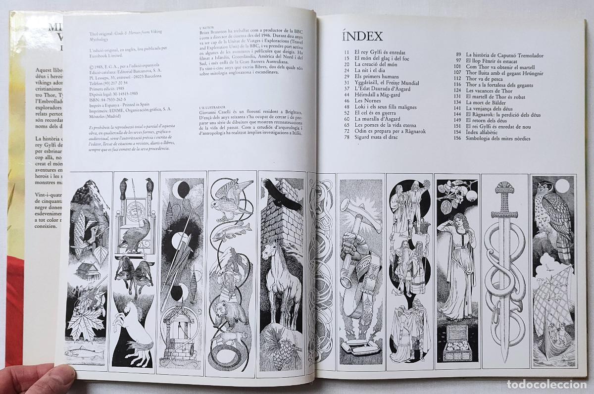 Libros de segunda mano: MITOLOGIA VIKINGA. D&Eacute;US I HEROIS. BARCANOVA. - Foto 5