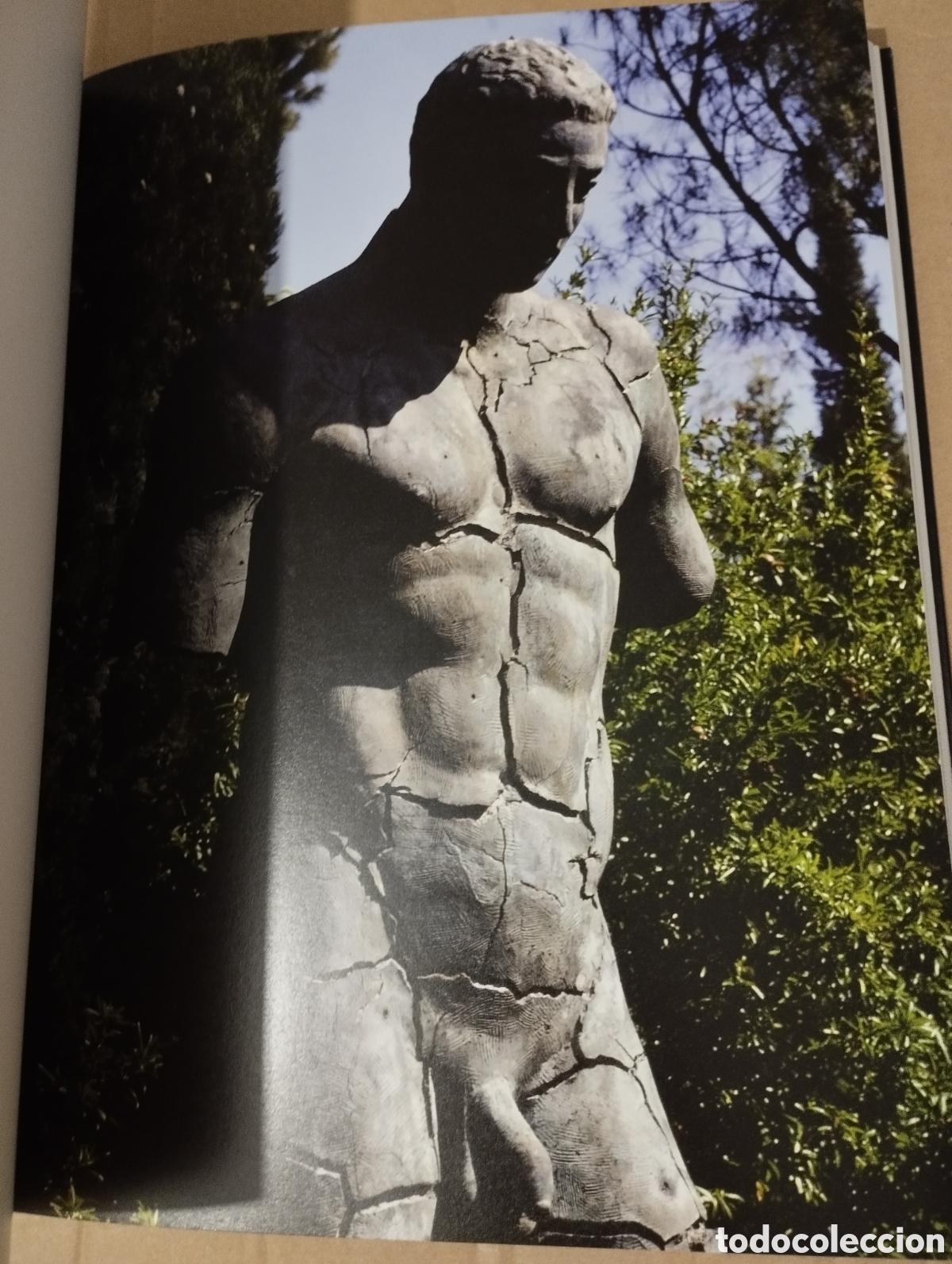 Libros de segunda mano: IGOR MITORAJ A PALMA. EL MITE PERDUT (FUNDACI&Oacute; LA CAIXA) - Foto 8