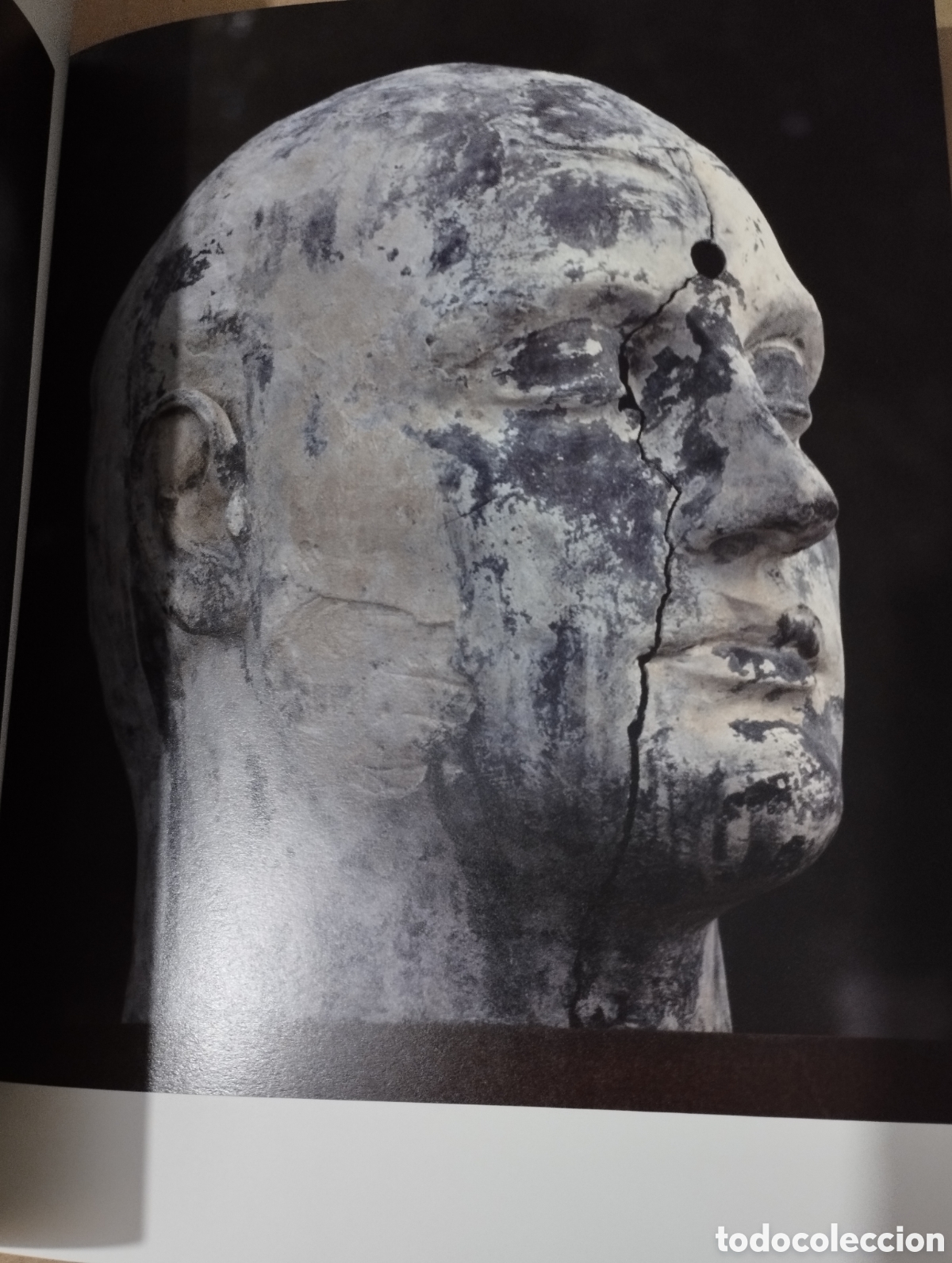 Libros de segunda mano: IGOR MITORAJ A PALMA. EL MITE PERDUT (FUNDACI&Oacute; LA CAIXA) - Foto 12