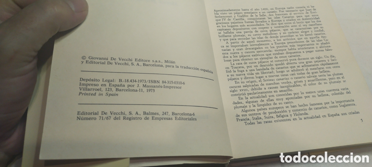 Libros de segunda mano: Cr&iacute;a moderna de los canarios. Manual pr&aacute;ctico. Marina roberti - Foto 3