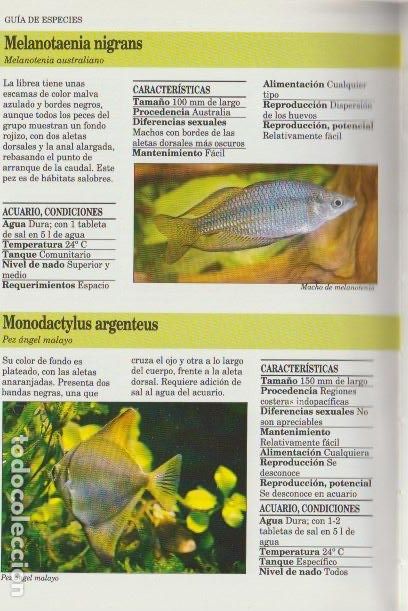 Libros de segunda mano: Gu&iacute;a del acuario / Dick Mills - Foto 5