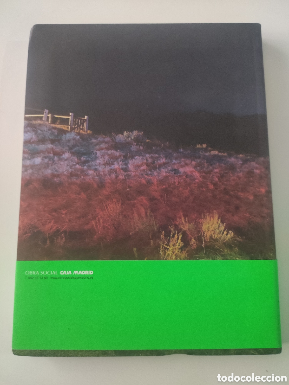 Libros de segunda mano: GENERACION 2012 Proyectos de Caja Madrid - Foto 2