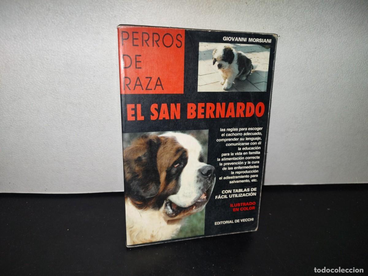 Libros de segunda mano: 84- PERROS DE RAZA. EL SAN BERNARDO - GIOVANNI MORSIANI - EDITORIALDE VECCHI - Foto 1