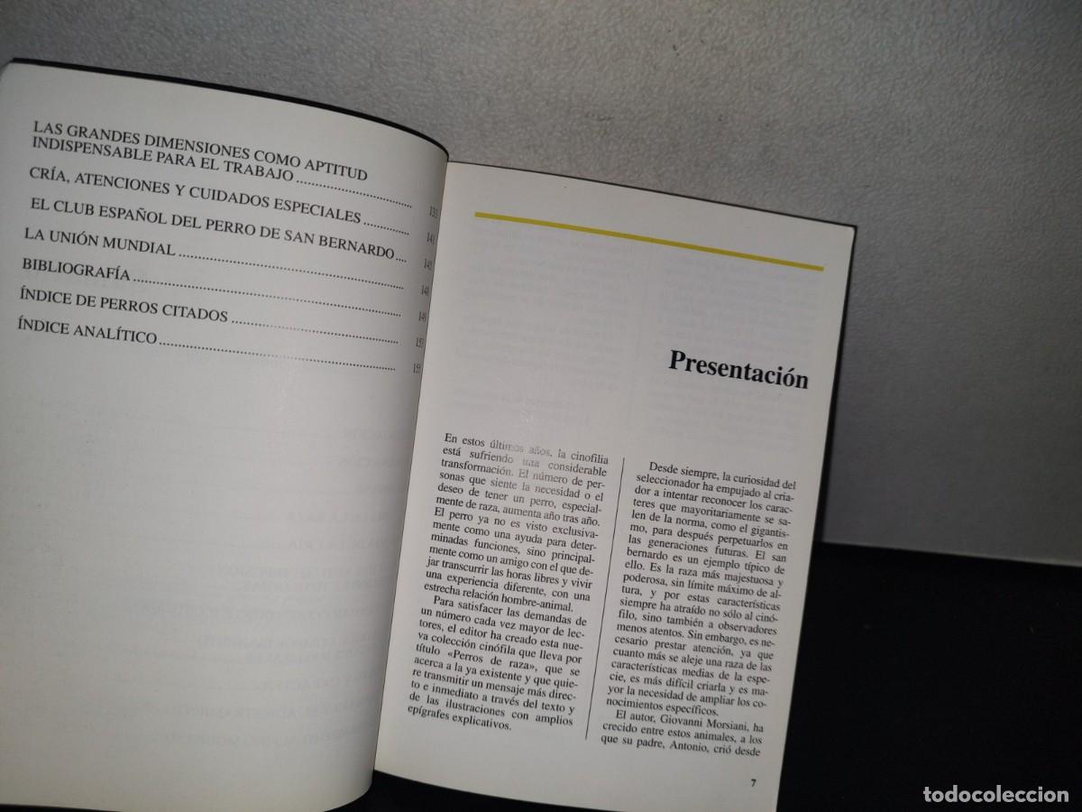 Libros de segunda mano: 84- PERROS DE RAZA. EL SAN BERNARDO - GIOVANNI MORSIANI - EDITORIALDE VECCHI - Foto 6