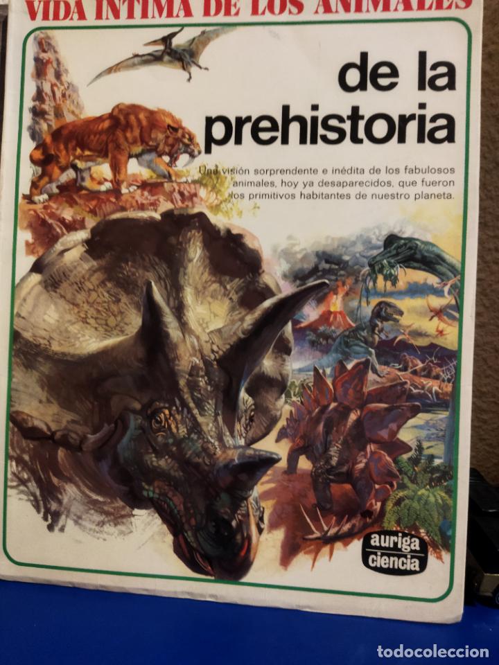 Libros de segunda mano: Vida &iacute;ntima de los animales de la prehistoria - Foto 1