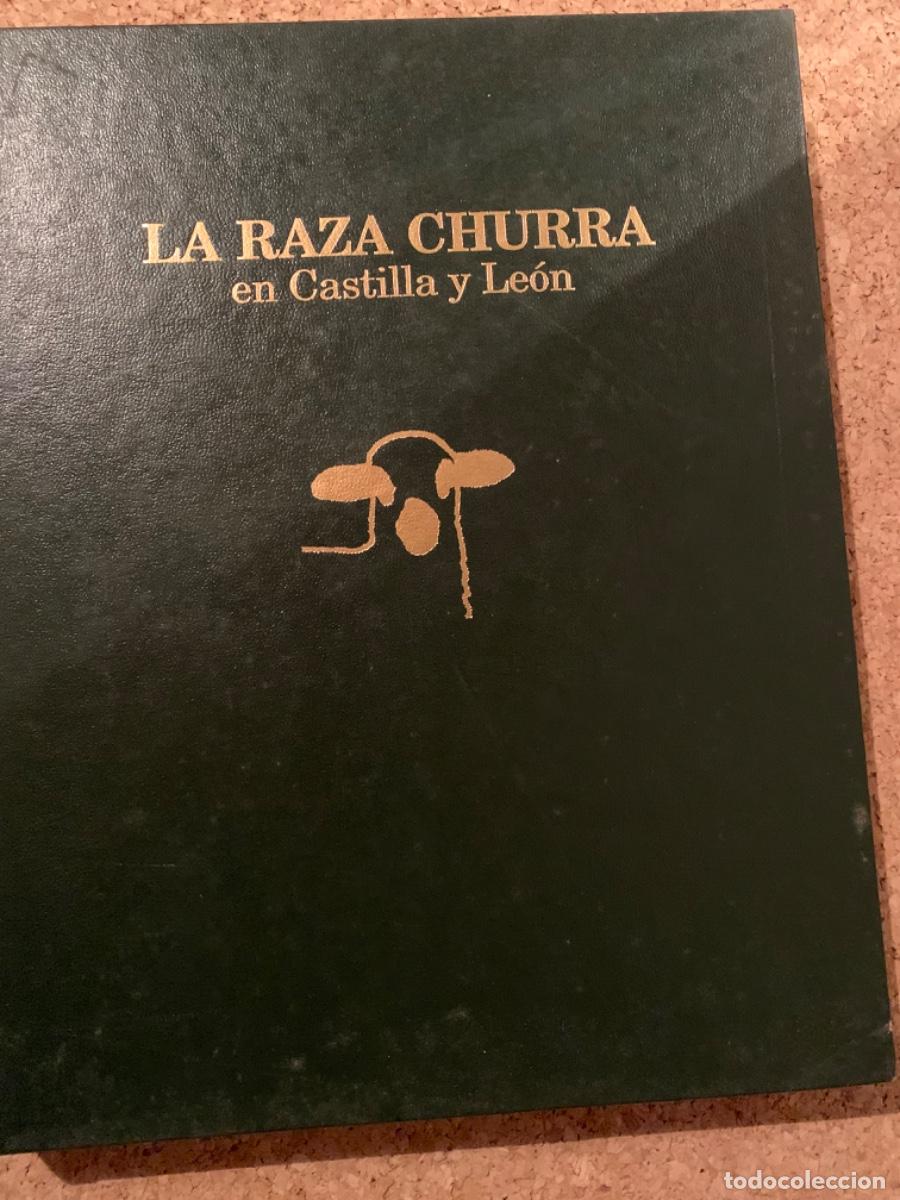 Libros de segunda mano: La raza churra en Castilla y Le&oacute;n (Bols 27) - Foto 1