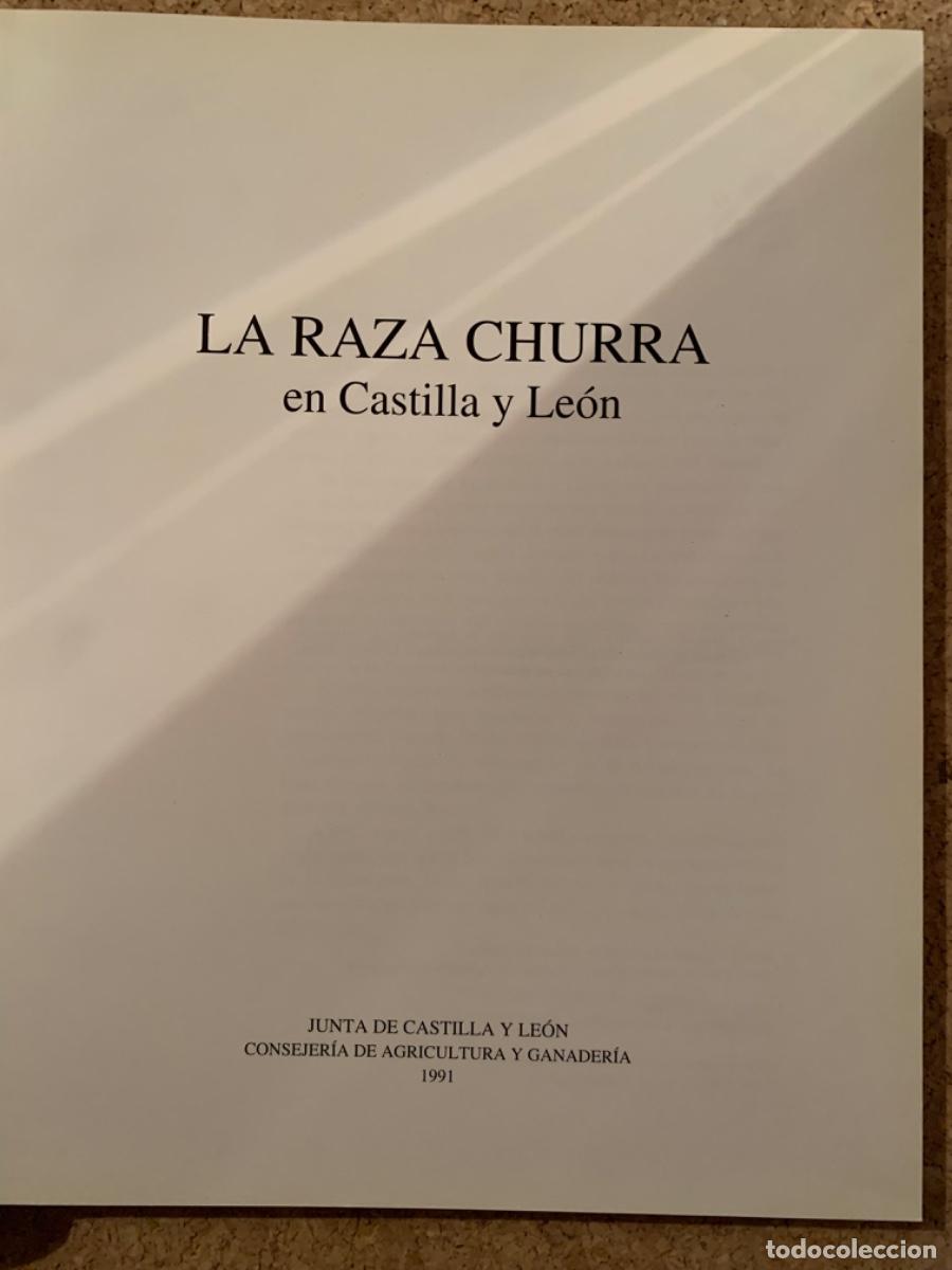 Libros de segunda mano: La raza churra en Castilla y Le&oacute;n (Bols 27) - Foto 2