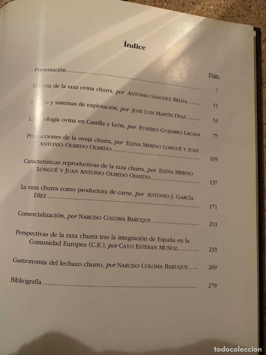 Libros de segunda mano: La raza churra en Castilla y Le&oacute;n (Bols 27) - Foto 6