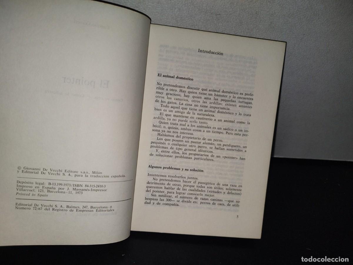 Libros de segunda mano: 84- EL POINTER. C&Oacute;MO SE CR&Iacute;A, C&Oacute;MO SE ADIESTRA - EUGENIO CRAVERI - 1973 - Foto 4