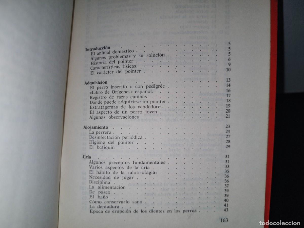 Libros de segunda mano: 84- EL POINTER. C&Oacute;MO SE CR&Iacute;A, C&Oacute;MO SE ADIESTRA - EUGENIO CRAVERI - 1973 - Foto 5