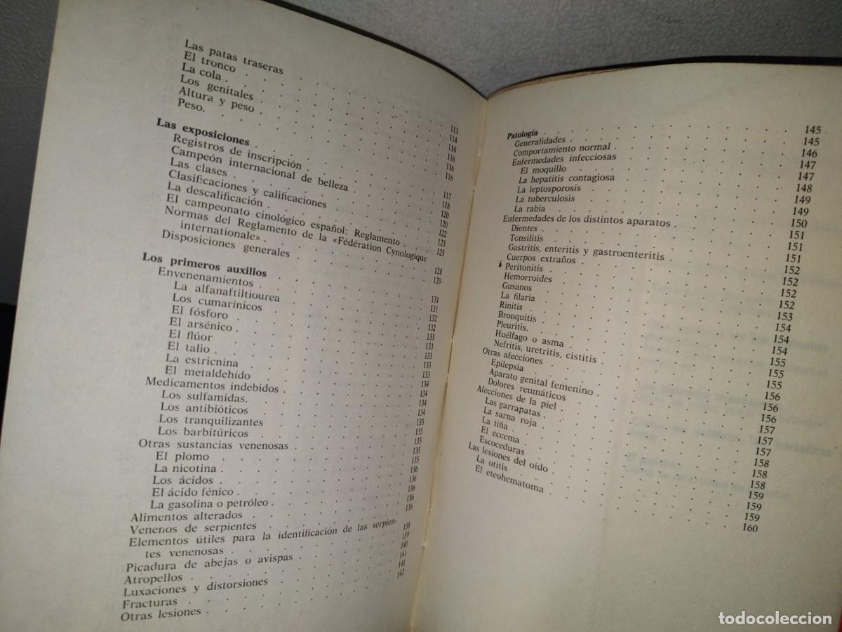 Libros de segunda mano: 84- EL POINTER. C&Oacute;MO SE CR&Iacute;A, C&Oacute;MO SE ADIESTRA - EUGENIO CRAVERI - 1973 - Foto 7