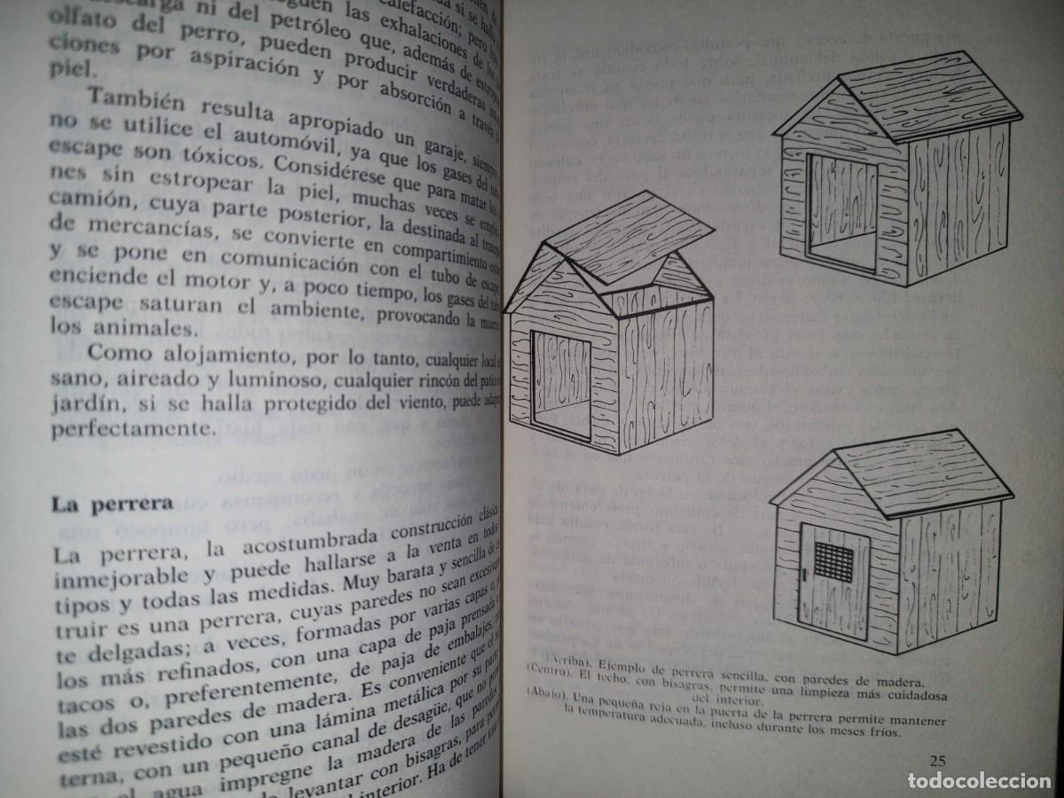 Libros de segunda mano: 84- EL POINTER. C&Oacute;MO SE CR&Iacute;A, C&Oacute;MO SE ADIESTRA - EUGENIO CRAVERI - 1973 - Foto 8