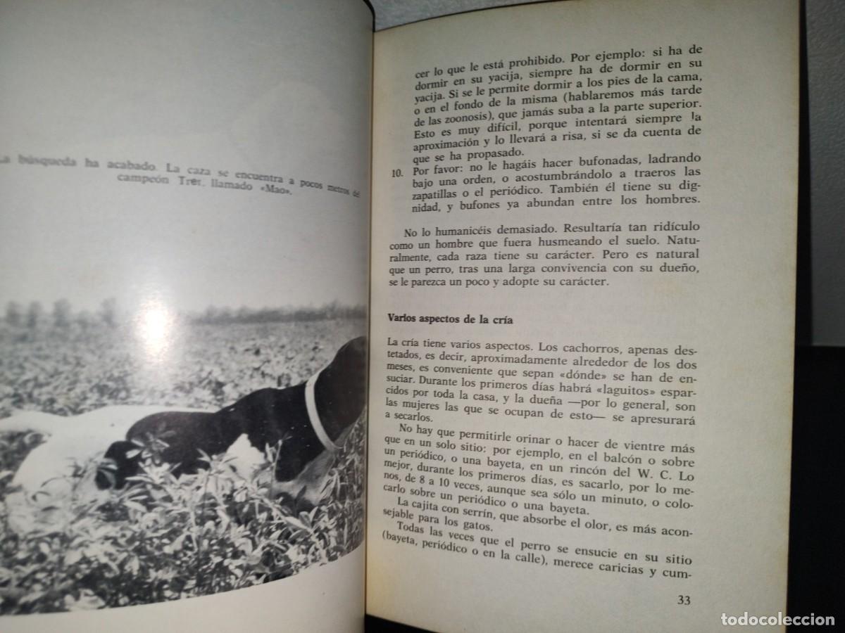Libros de segunda mano: 84- EL POINTER. C&Oacute;MO SE CR&Iacute;A, C&Oacute;MO SE ADIESTRA - EUGENIO CRAVERI - 1973 - Foto 9