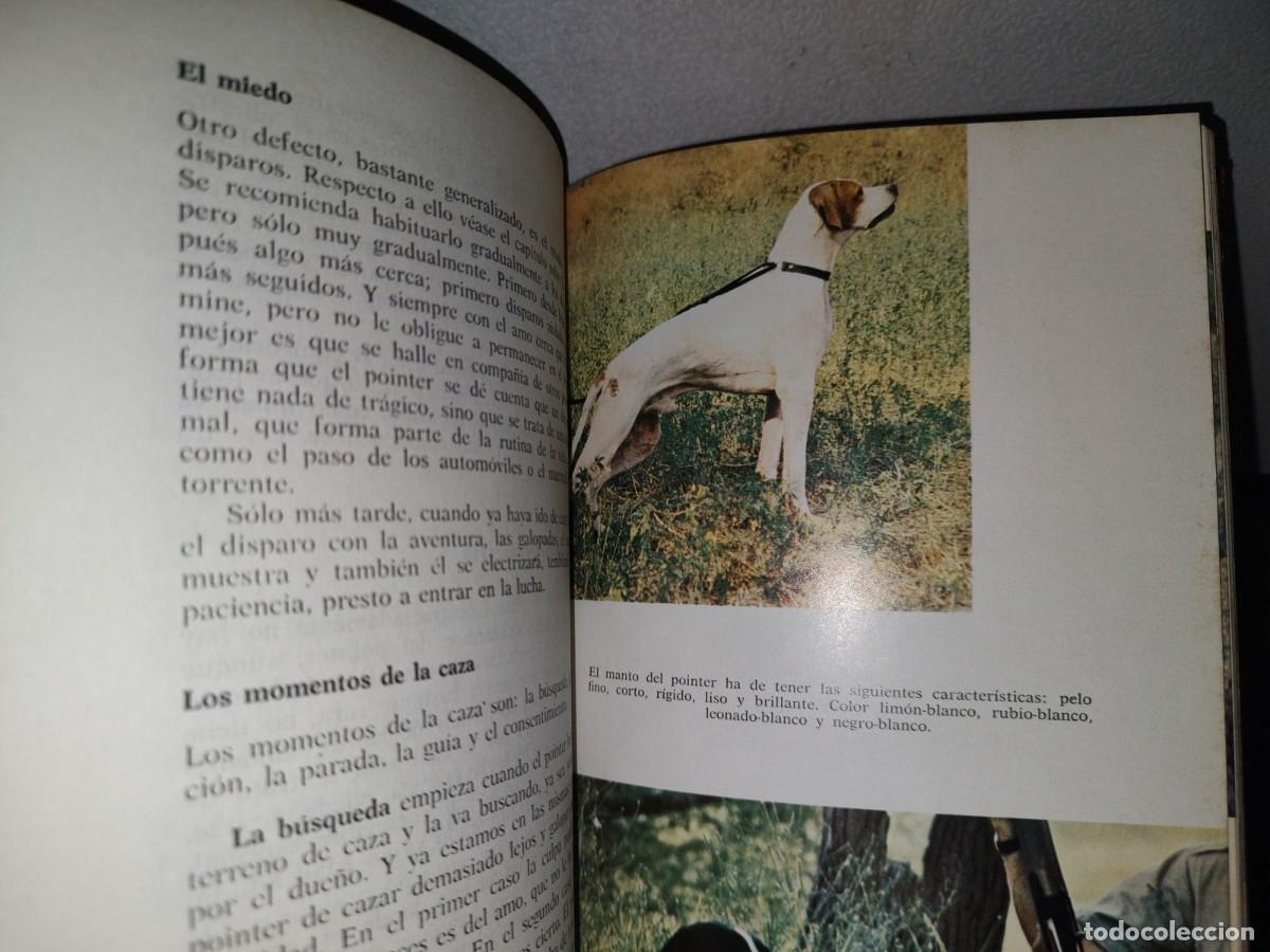 Libros de segunda mano: 84- EL POINTER. C&Oacute;MO SE CR&Iacute;A, C&Oacute;MO SE ADIESTRA - EUGENIO CRAVERI - 1973 - Foto 10