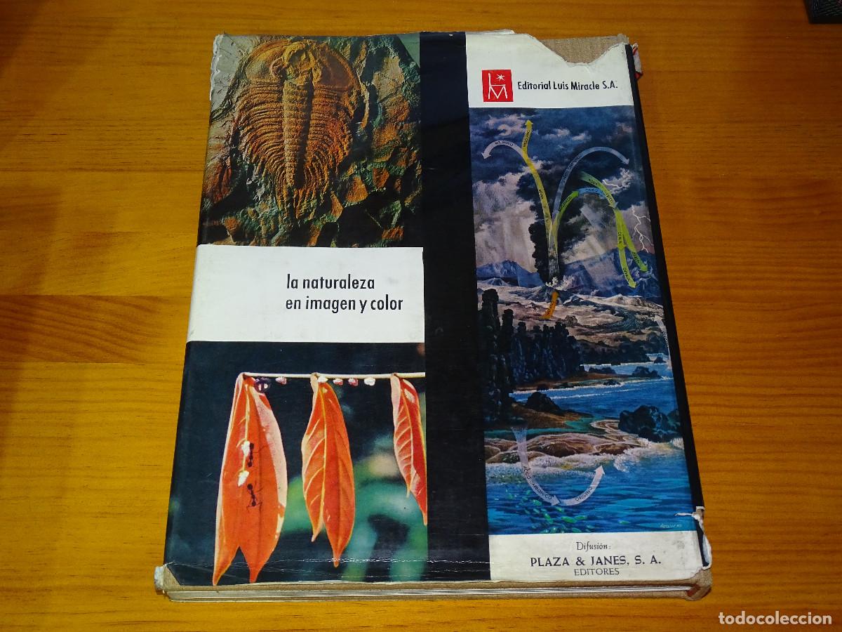 Libros de segunda mano: El mundo en que vivimos. Time Life. - Foto 2