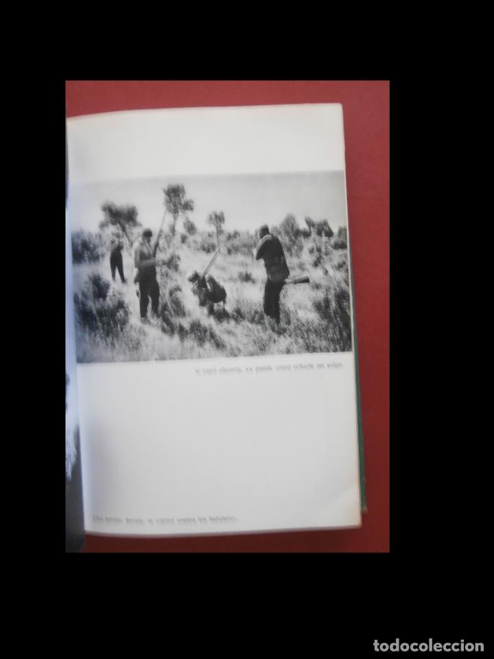 Libros de segunda mano: El libro de la caza menor. Miguel Delibes - Foto 3