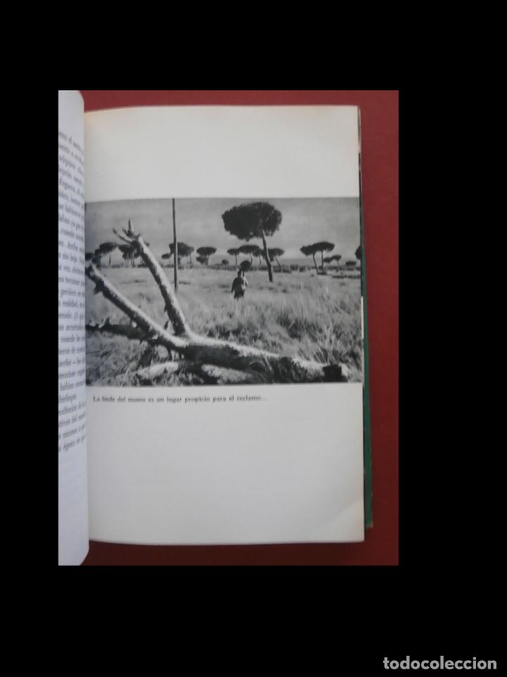 Libros de segunda mano: El libro de la caza menor. Miguel Delibes - Foto 5