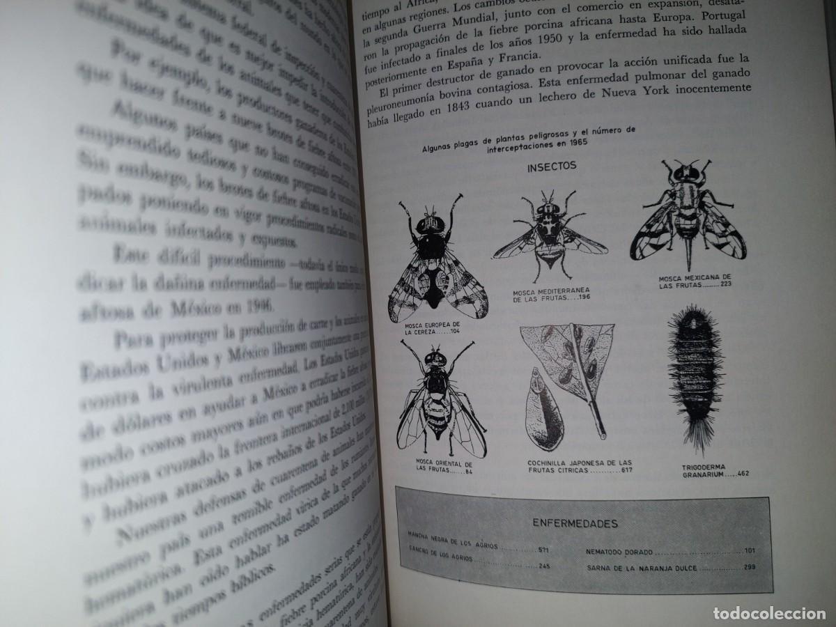 Libros de segunda mano: 85- C&Oacute;MO PROTEGER NUESTROS ALIMENTOS - PRIMERA EDICI&Oacute;N EN ESPA&Ntilde;OL 1968 - UTEHA - Foto 11