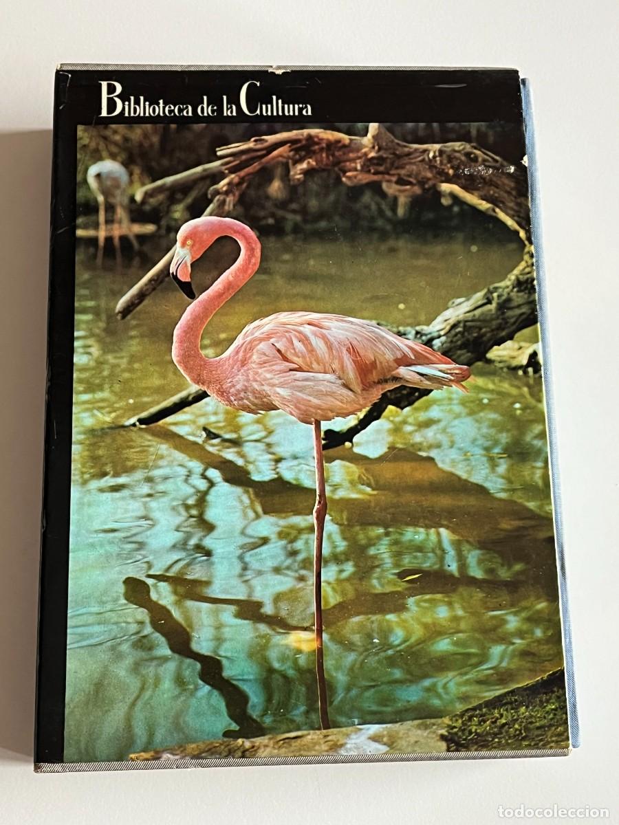 Libros de segunda mano: EL MUNDO VIVIENTE-A. JONCH - Foto 3