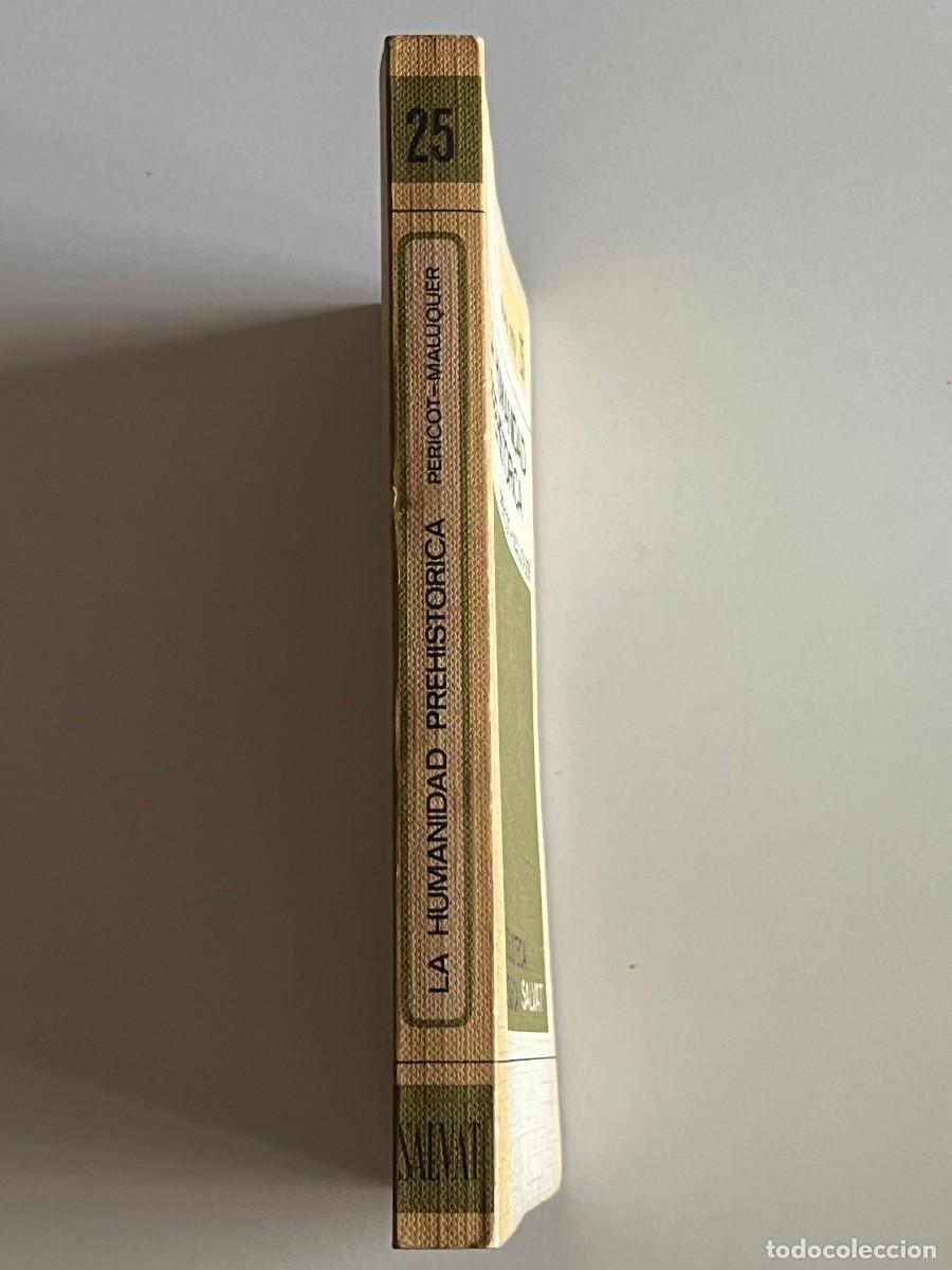 Libros de segunda mano: LA HUMANIDAD PREHISTORICA-PERICOT,MALUQUER - Foto 2