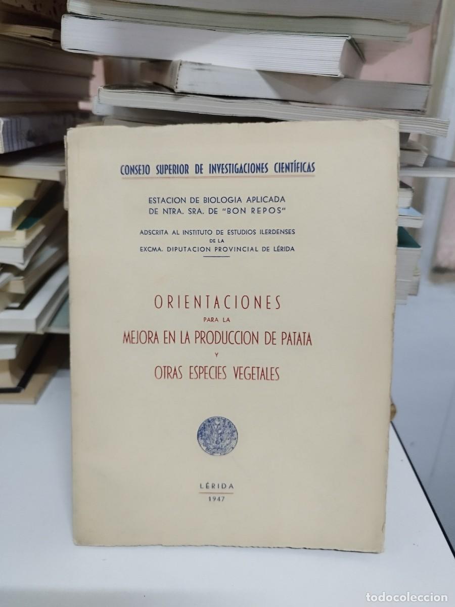 Libri di seconda mano: Orientaciones para la mejora en al producci&oacute;n de patata y otras especies vegetales. L&eacute;rida. Lleida.