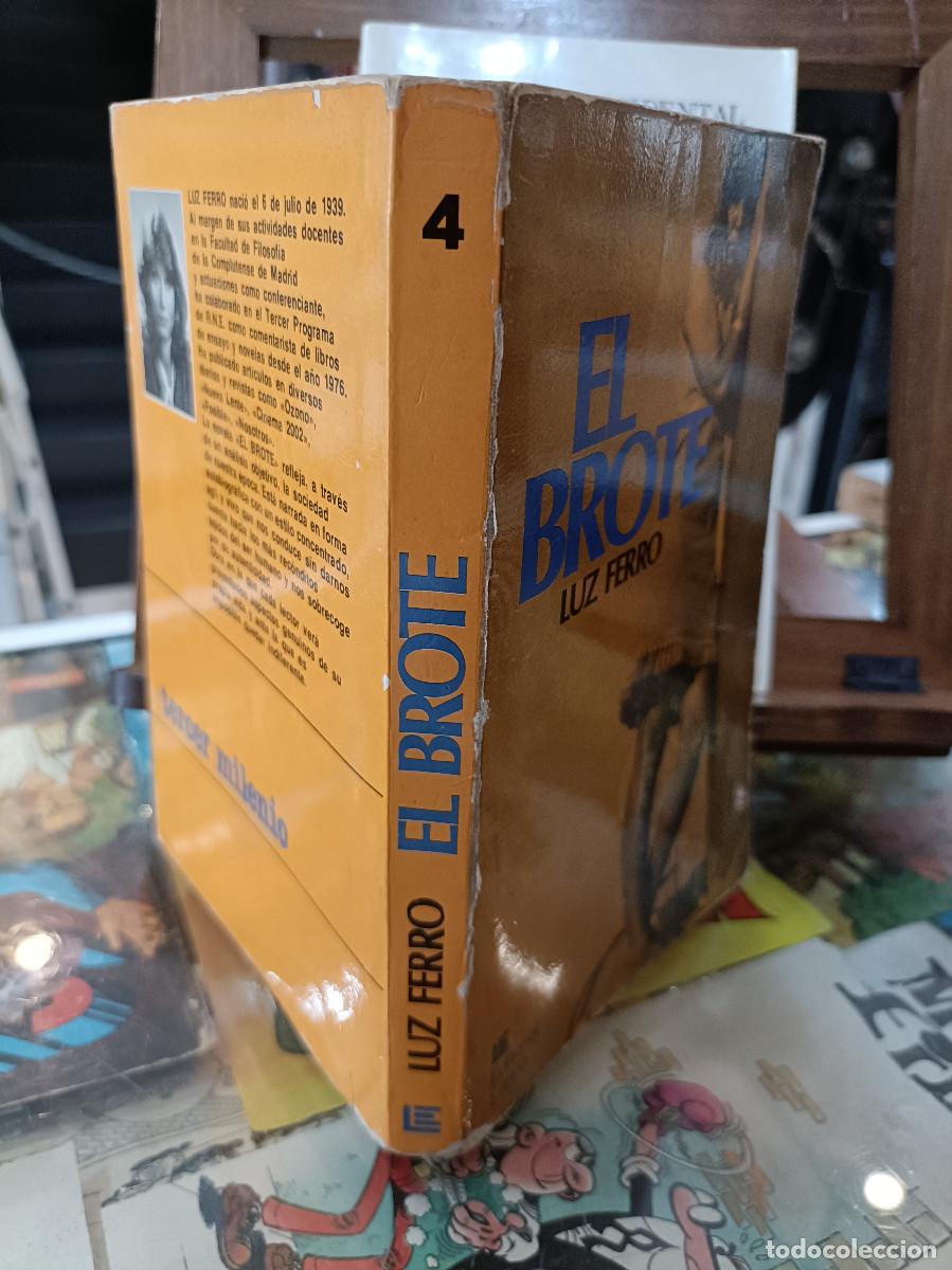 Libros de segunda mano: El brote - Luz Ferro - Editorial Latina 1981 - Foto 2