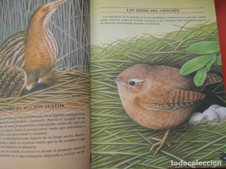 Libros de segunda mano: RECORDS Y CURISIODADES DE LOS ANIMALES - SERVILIBRO - 2003 - ACOLCHADO - Foto 4