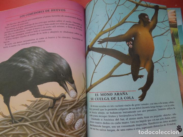 Libros de segunda mano: RECORDS Y CURISIODADES DE LOS ANIMALES - SERVILIBRO - 2003 - ACOLCHADO - Foto 5