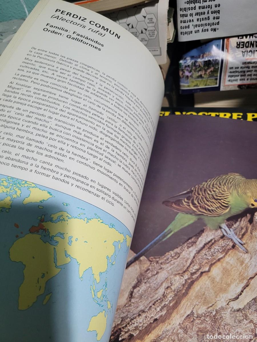 Libros de segunda mano: Aves del mundo 1975 Salvat - Foto 3