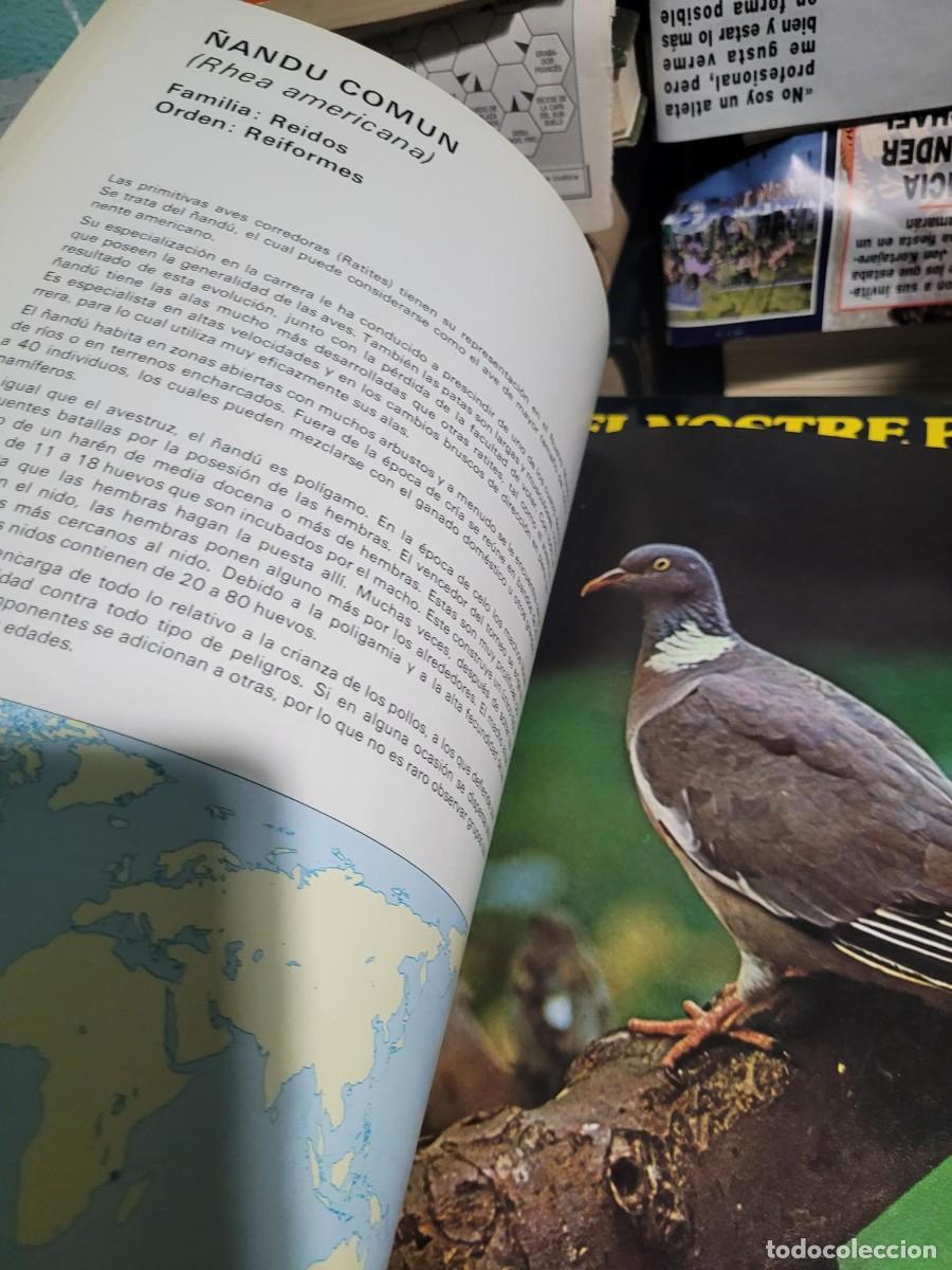 Libros de segunda mano: Aves del mundo 1975 Salvat - Foto 4