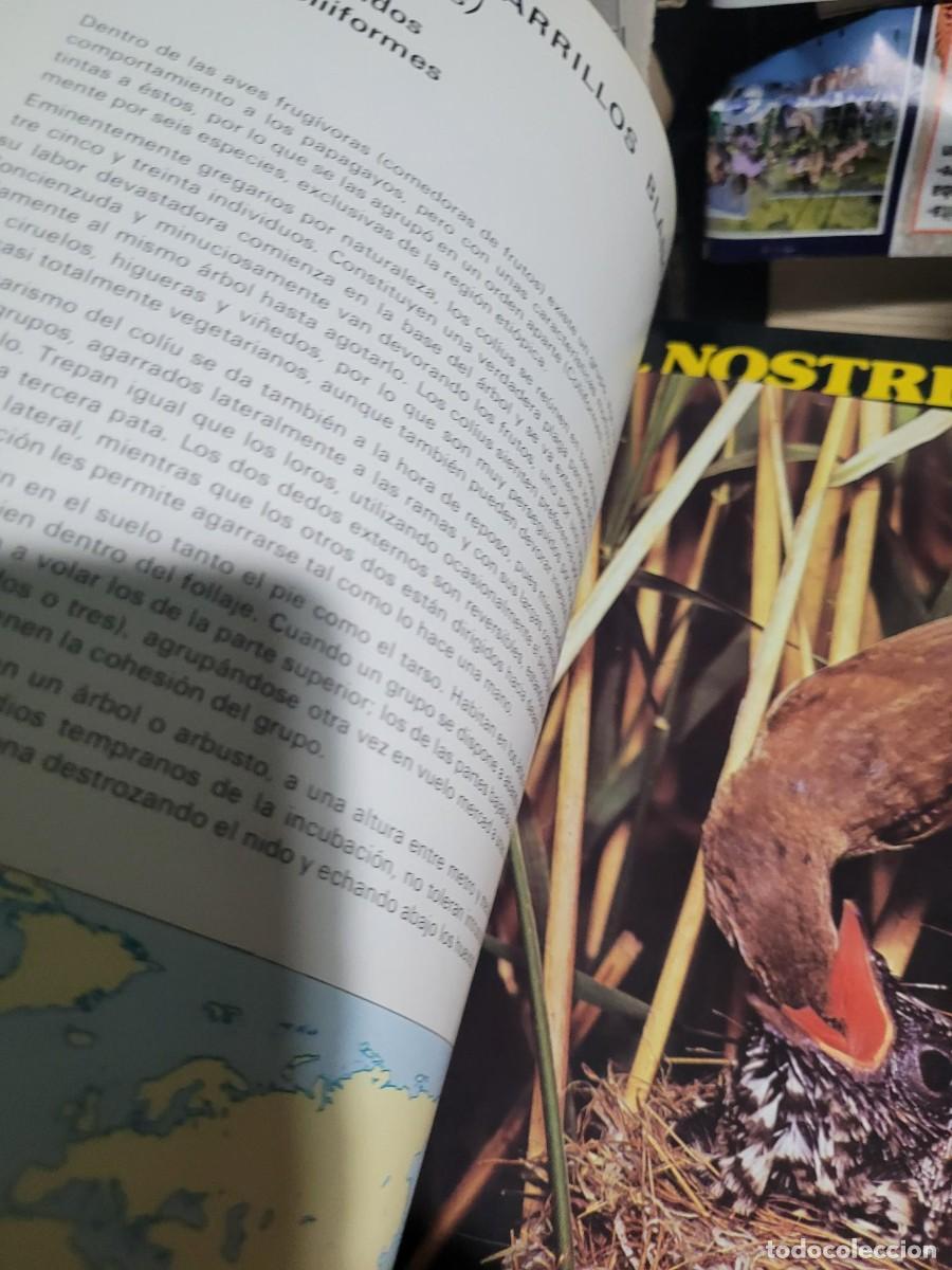 Libros de segunda mano: Aves del mundo 1975 Salvat - Foto 5