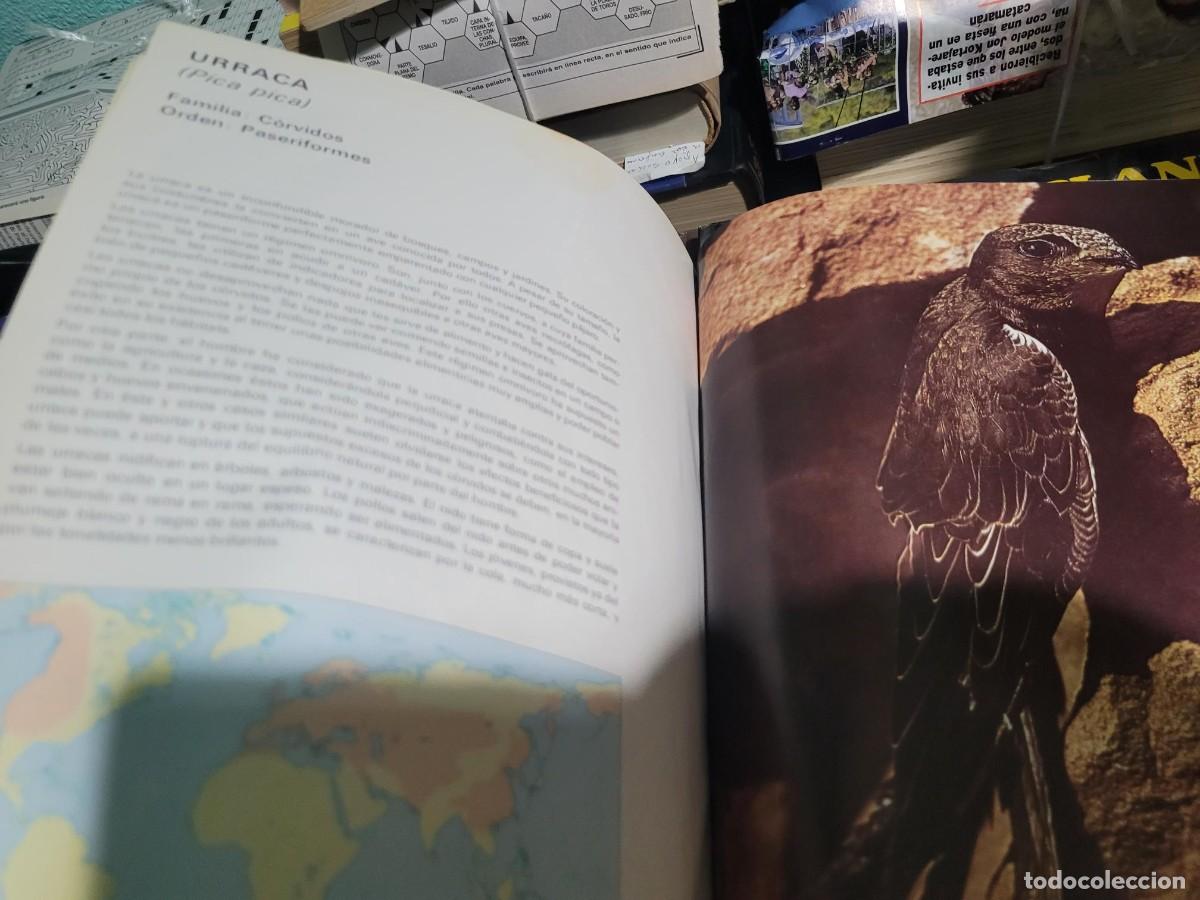 Libros de segunda mano: Aves del mundo 1975 Salvat - Foto 6