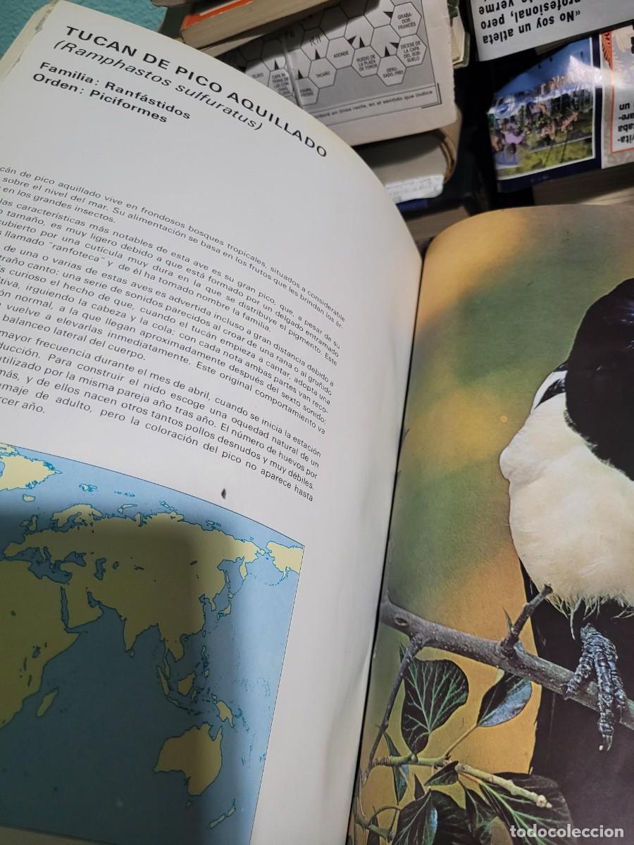 Libros de segunda mano: Aves del mundo 1975 Salvat - Foto 7