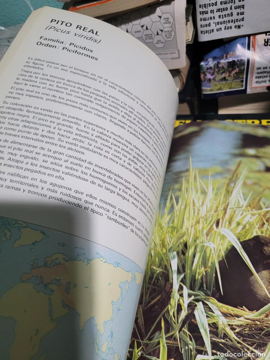 Libros de segunda mano: Aves del mundo 1975 Salvat - Foto 8