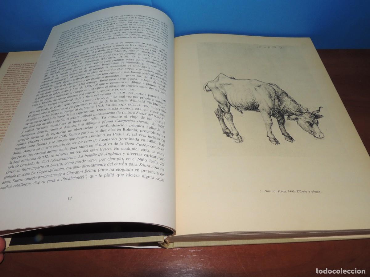 Libros de segunda mano: ALBERTO DURERO. DIBUJOS.- LUBOS HLAV&Aacute;CEK - Foto 6