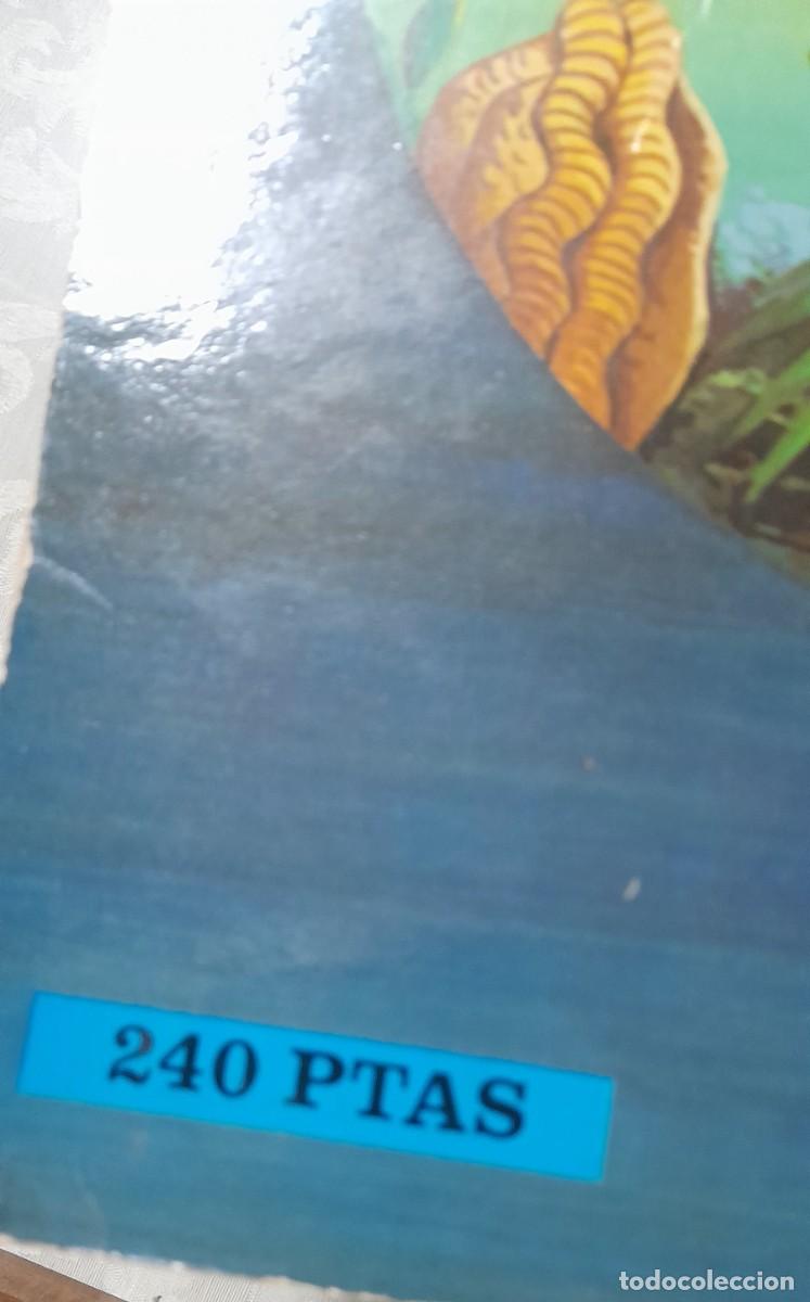 Libros de segunda mano: 20.000 LEGUAS DE VIAJE SUBMARINO (1982) - Foto 8