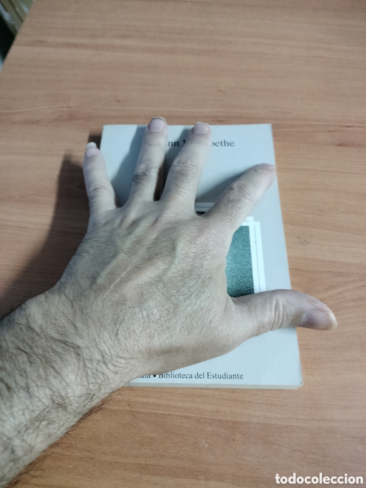 Libros de segunda mano: Fausto ( Tomo 1 ) Johann W. Goethe - Foto 2